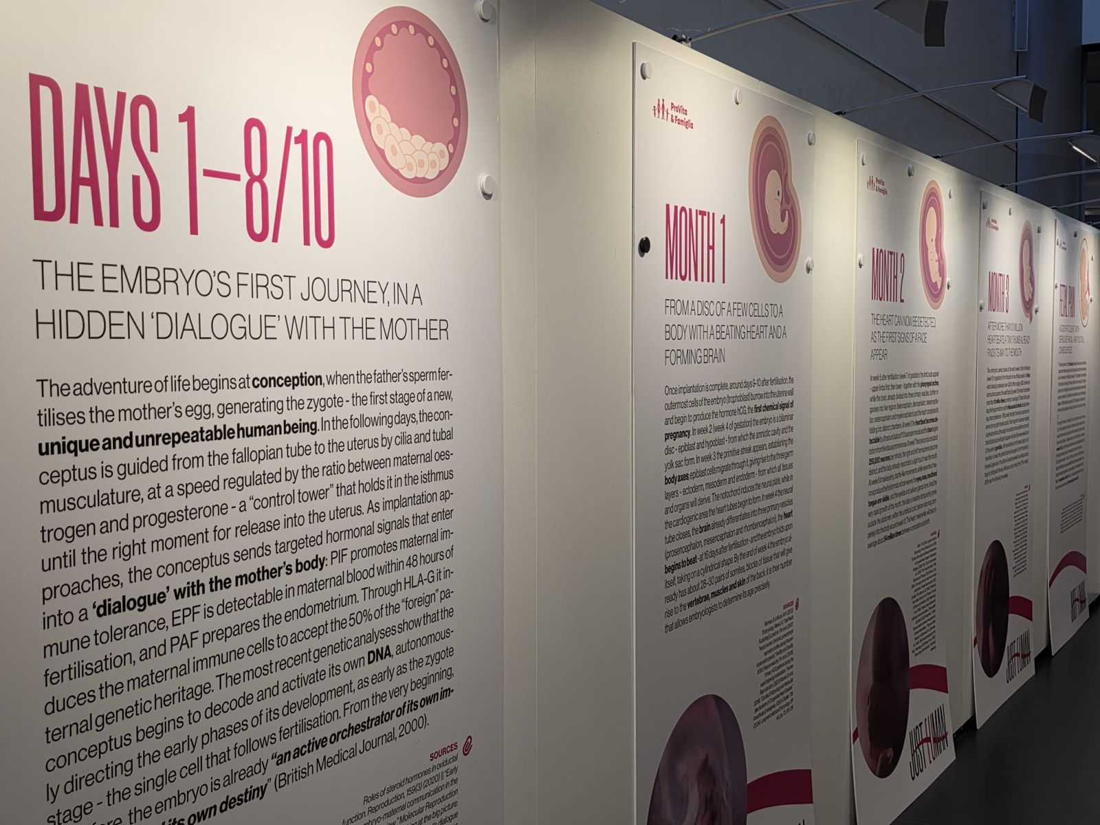 Inaugurata al Parlamento europeo a Strasburgo la mostra di Pro Vita & Famiglia sullo sviluppo dell’embrione 1
